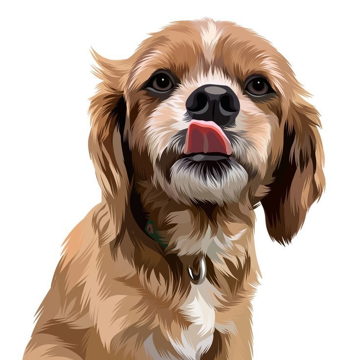 Dog Painting by Numbers! Paint Your Pet