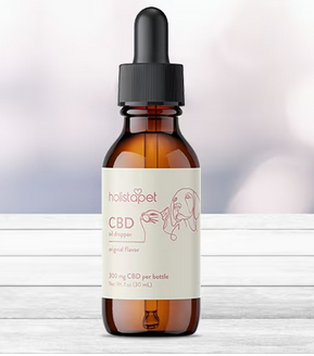 Is It Safe to Give My Cat CBD Oil if She Is Nursing?